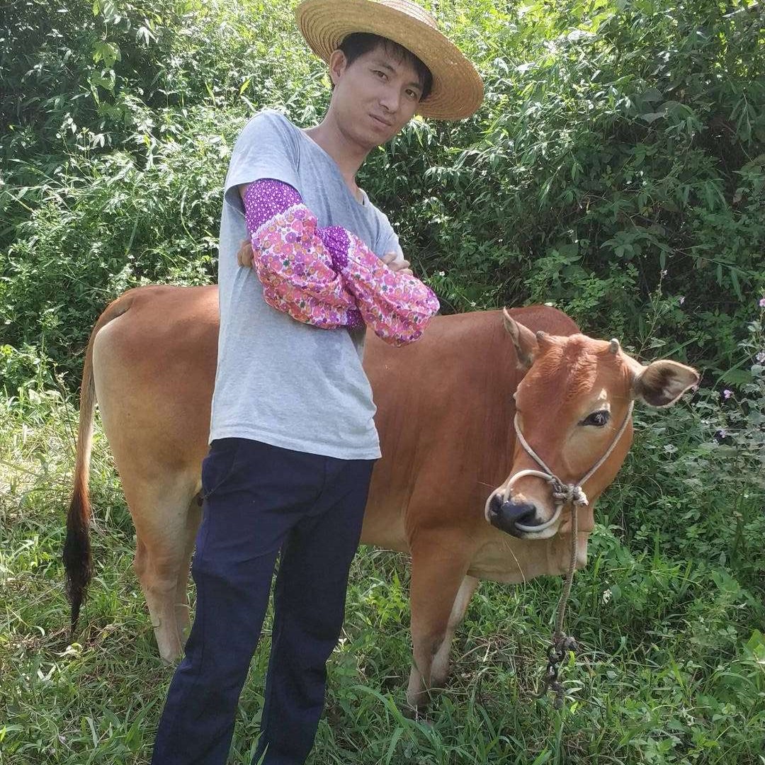 香水与机智的照片