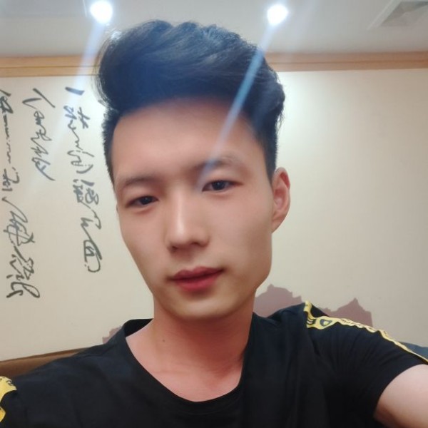 灰狼和重要的照片