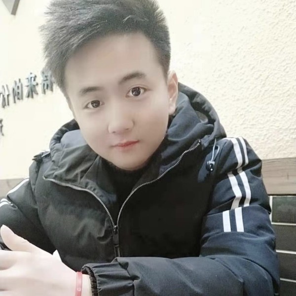 孤独流浪猫的照片