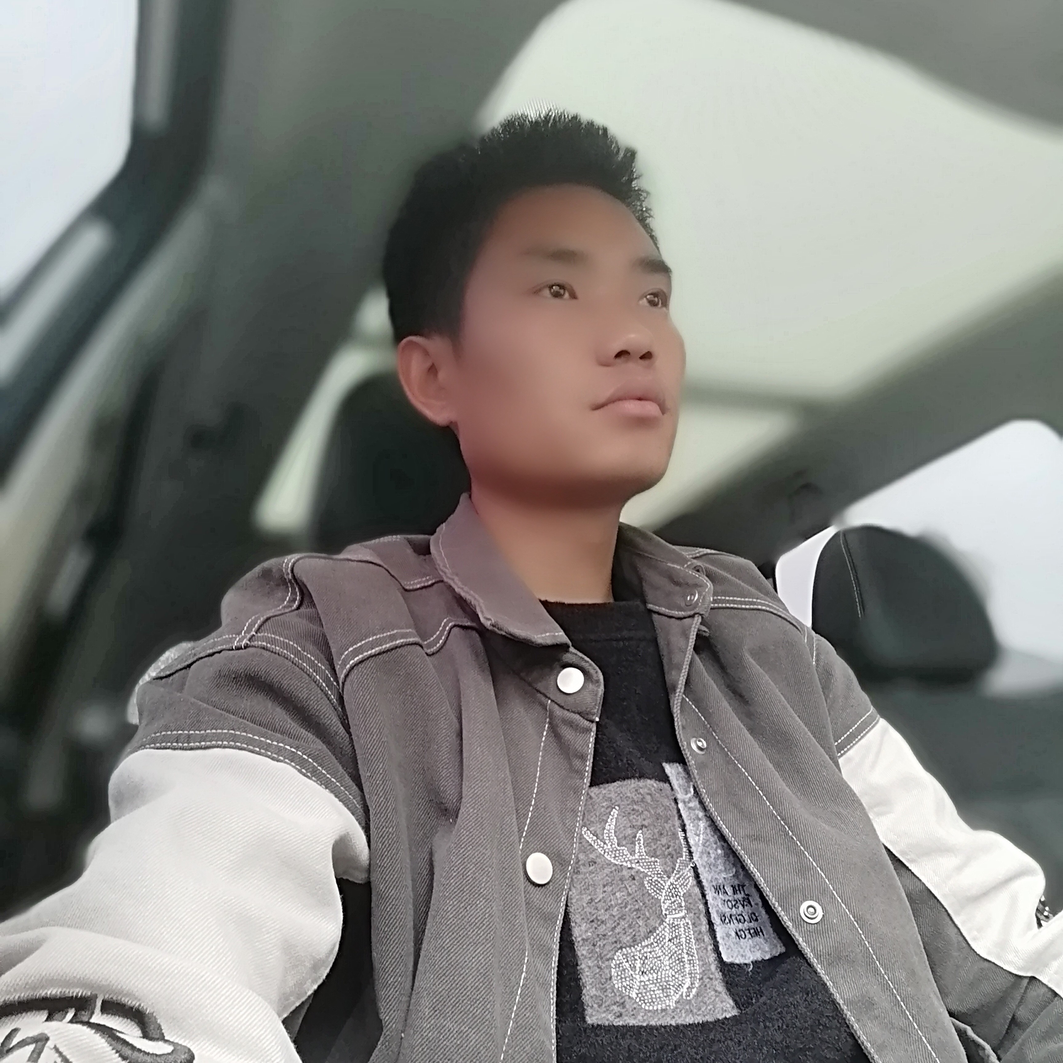 受伤改变树叶的照片