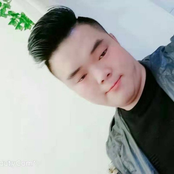 可爱的宝格丽的照片