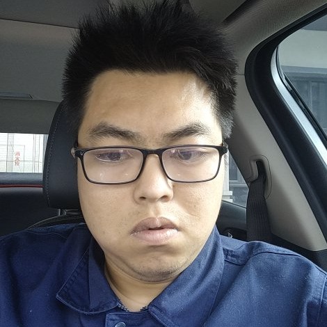 活泼爱小猫咪的照片