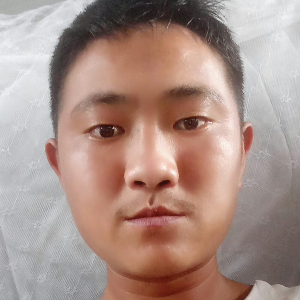 金鱼回首冷傲的照片