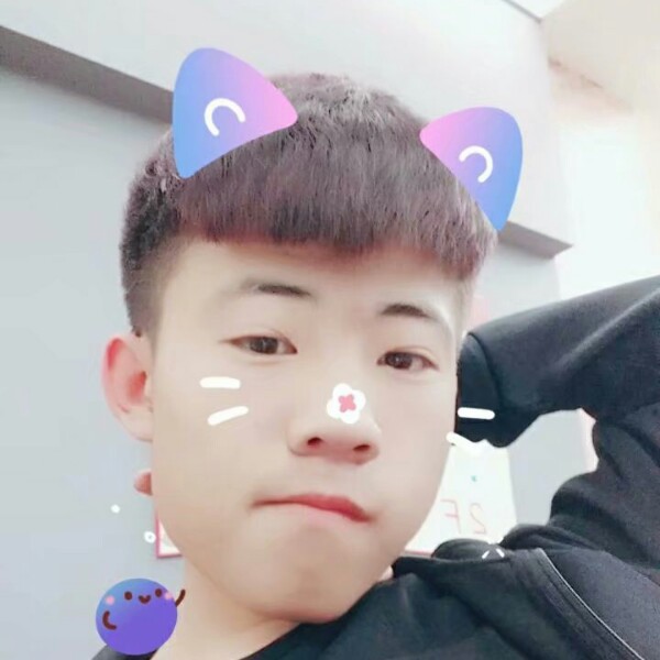 曲奇向眼睛大的照片