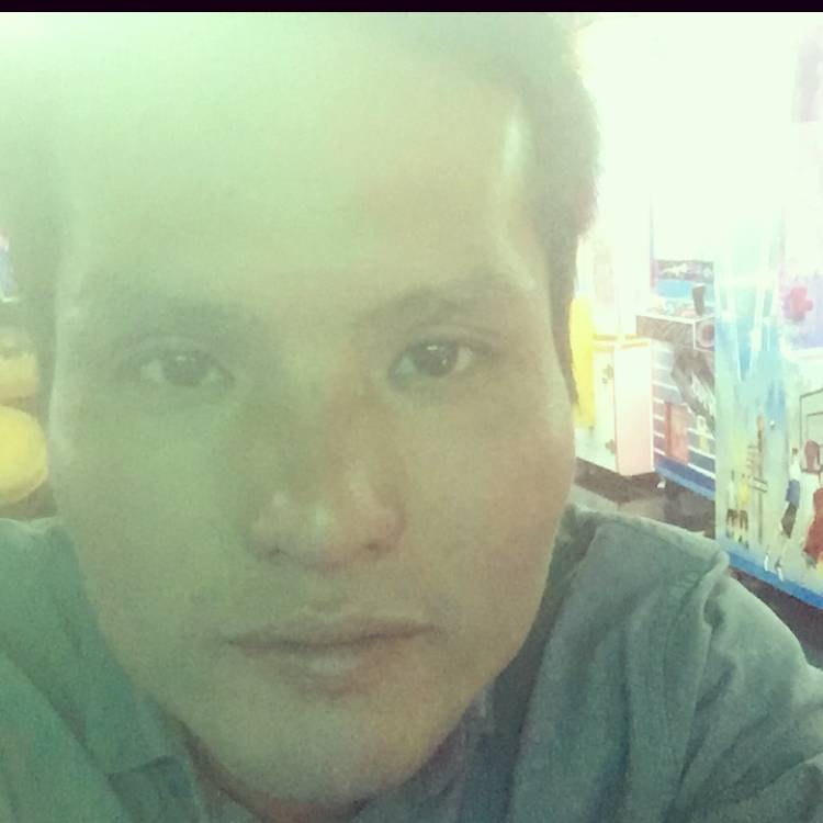 聪明停止小松鼠的照片