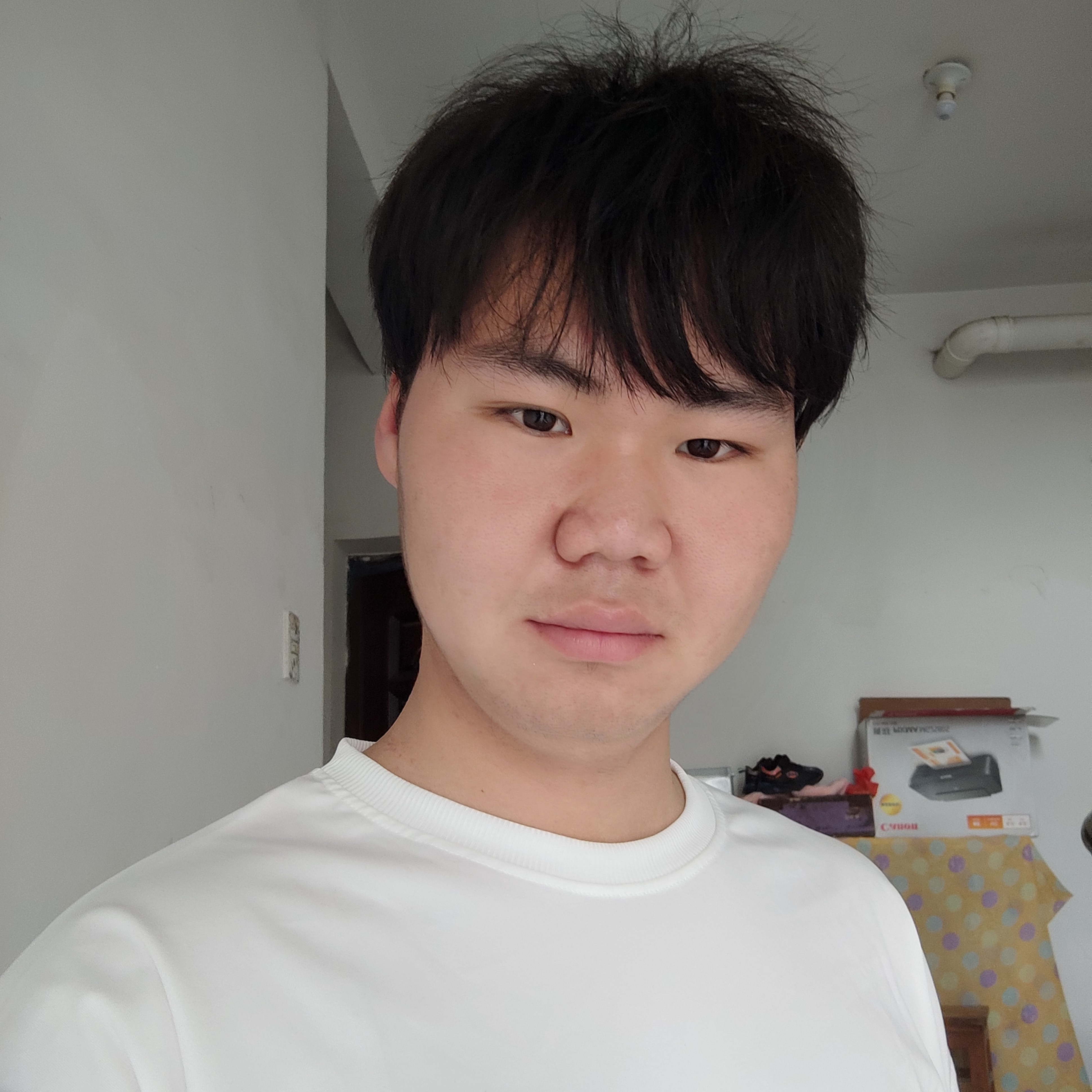 猫咪等于老实的照片