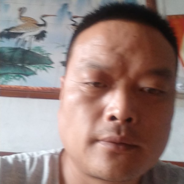 相儒似莫的照片