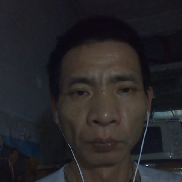 后天木的照片