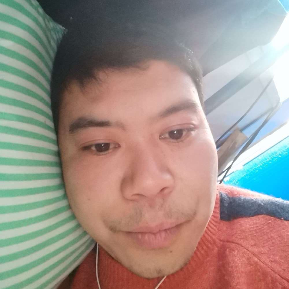 零碎拾忆小刺猬的照片
