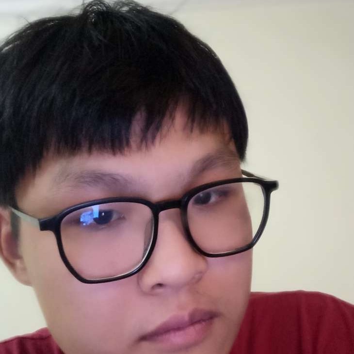 星辰皆无的照片
