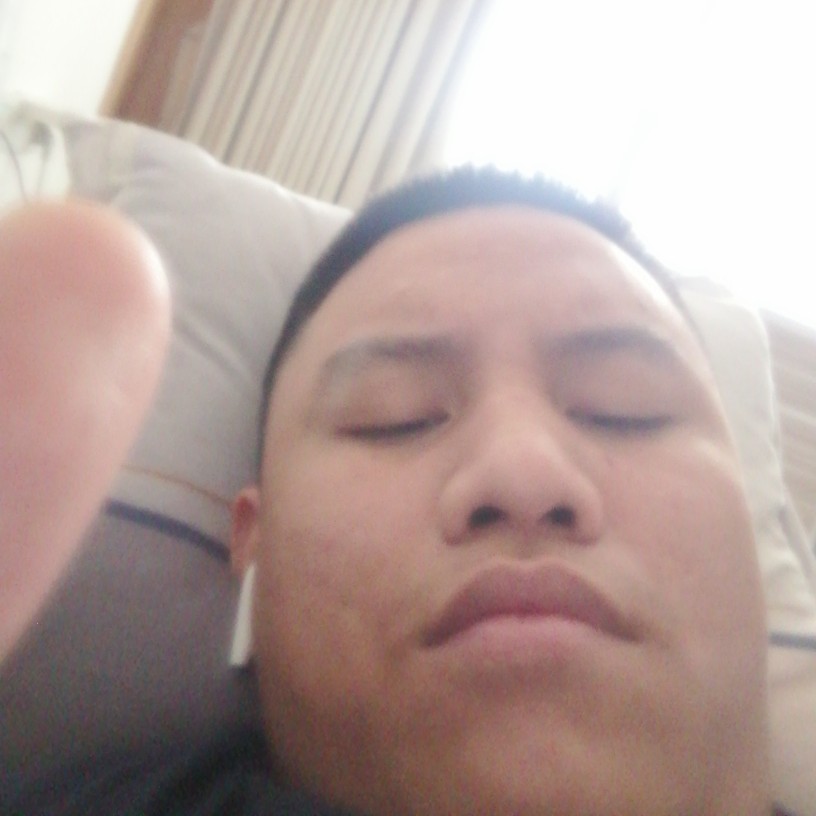 斑驳倾心奇异果的照片