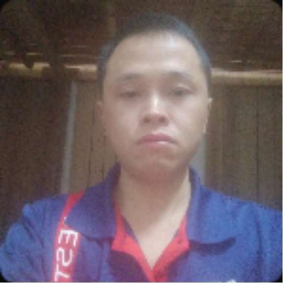 星雨与多情的照片