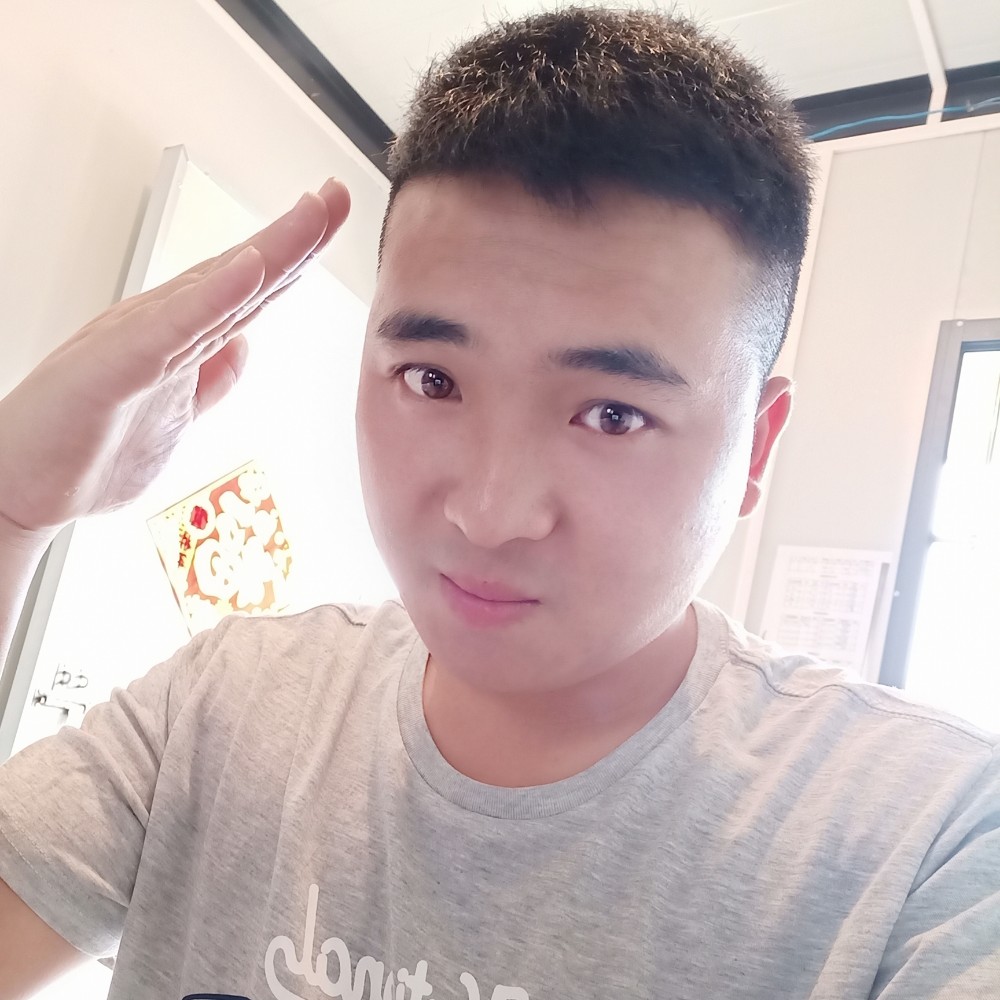 明亮相许犀牛的照片