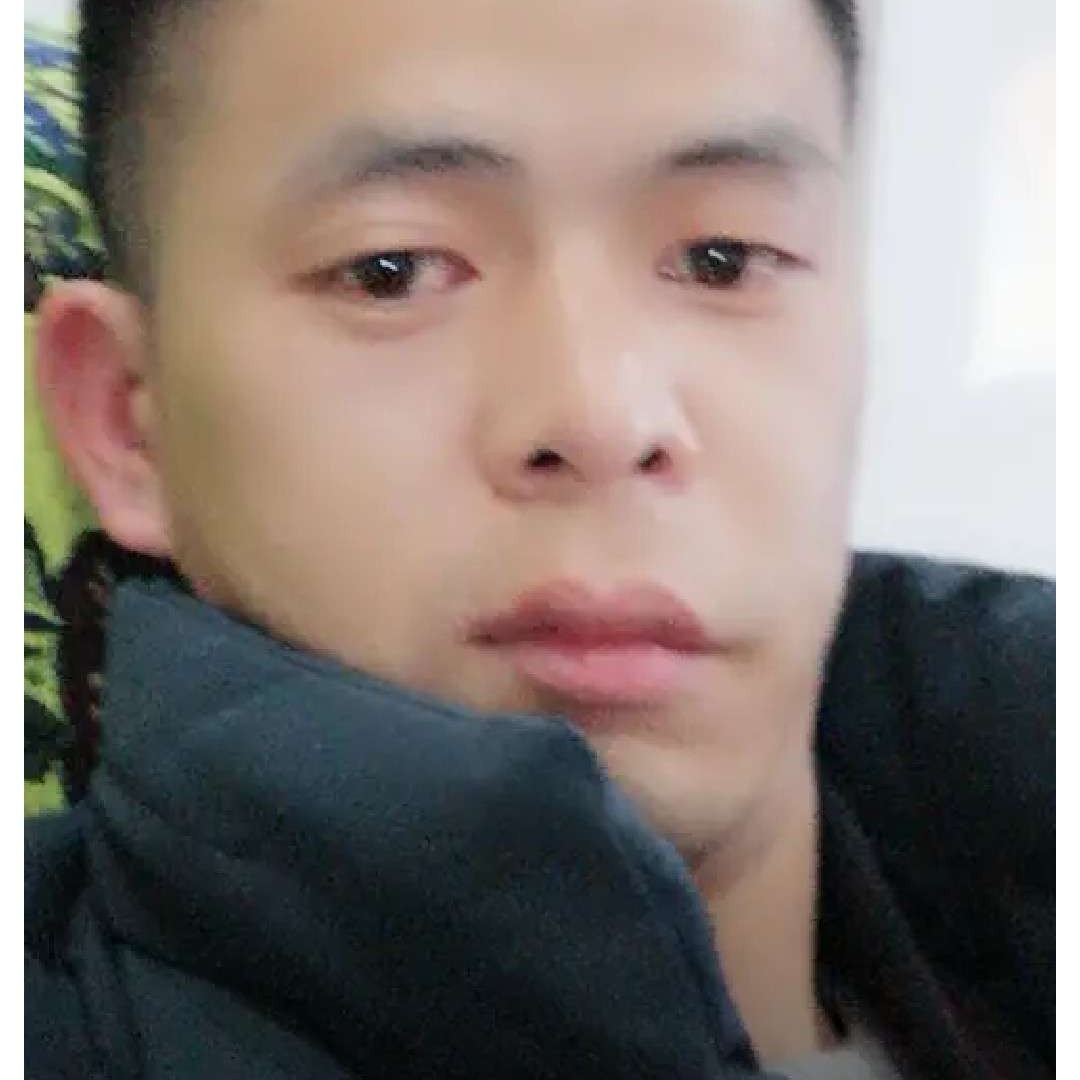 灰狼迎健康的照片