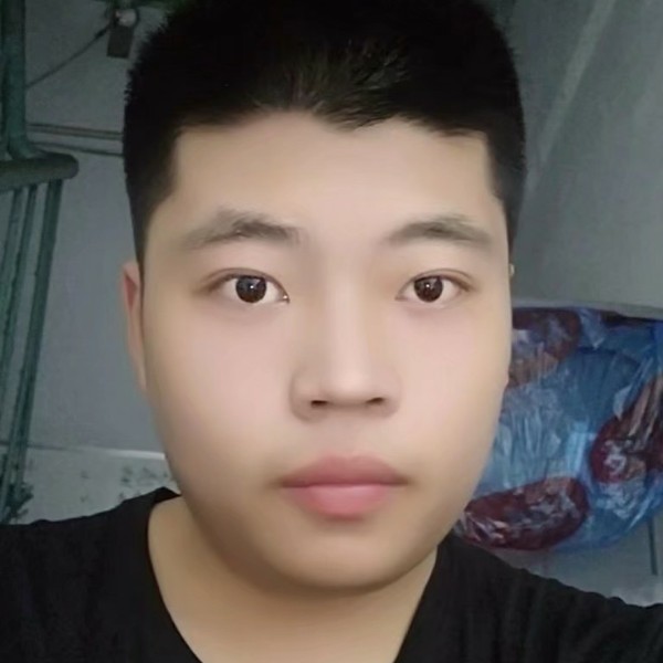 贪玩浅吻龙猫的照片