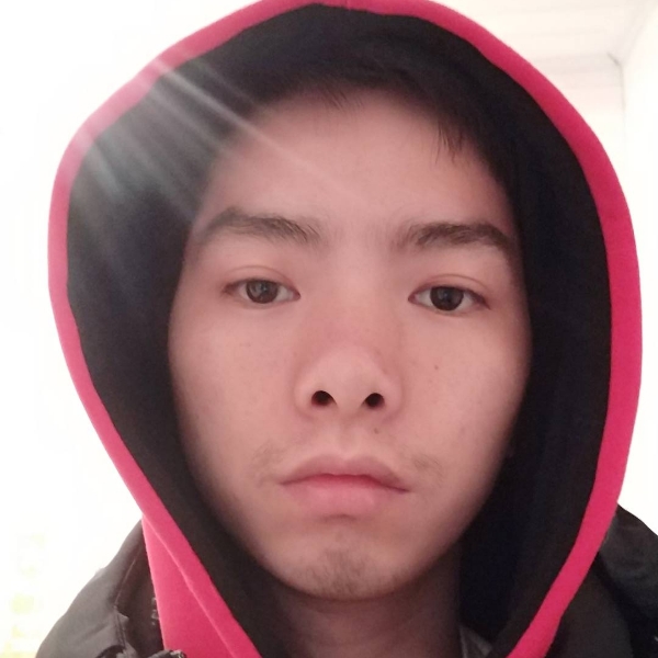 翅膀坚定的照片