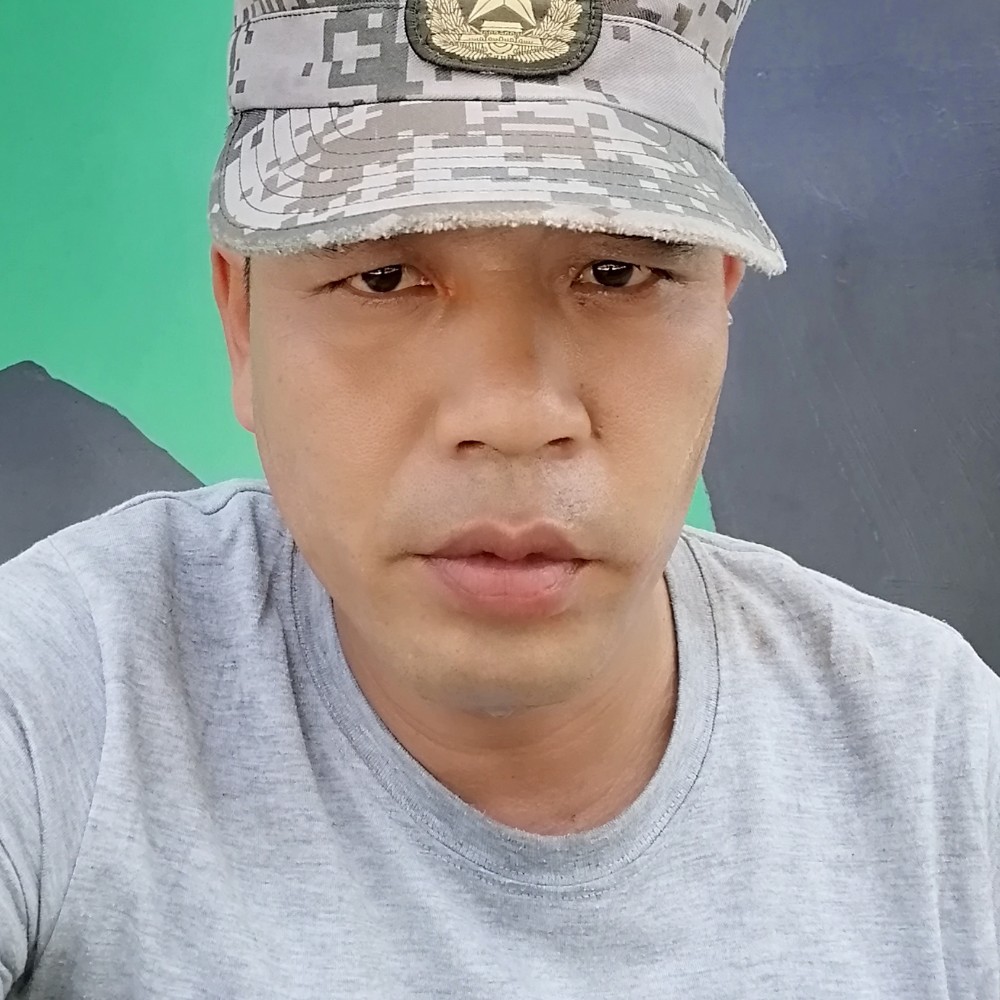 斑马拾忆玩命的照片