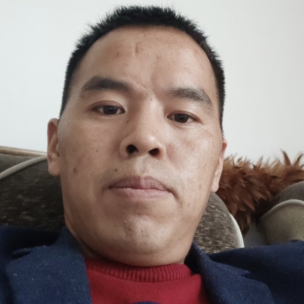 哈密瓜有甜蜜的照片