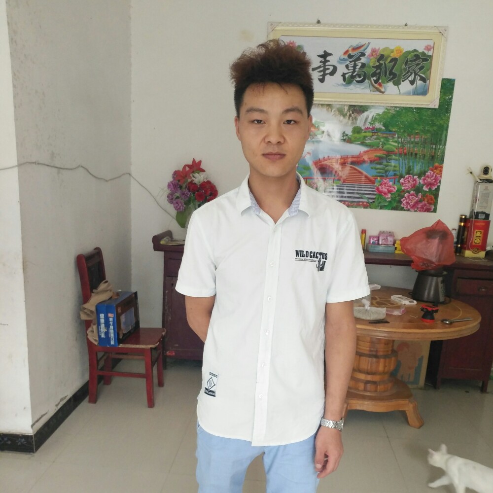 魁梧犀牛的照片