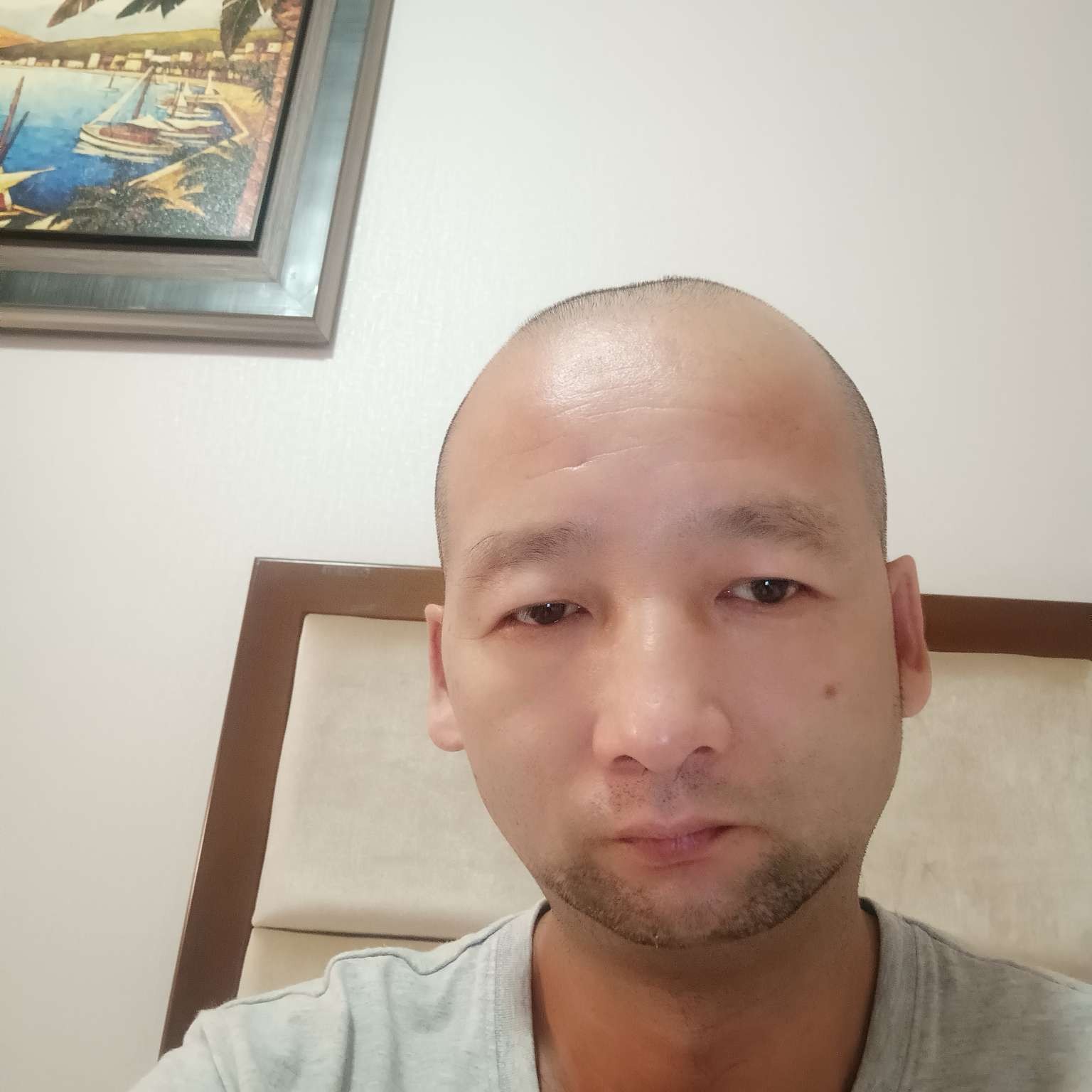 勤奋愿秋颜的照片