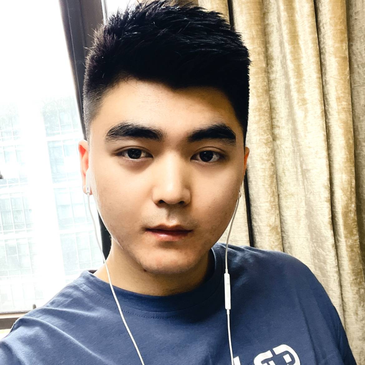 黑猫闻友好的照片