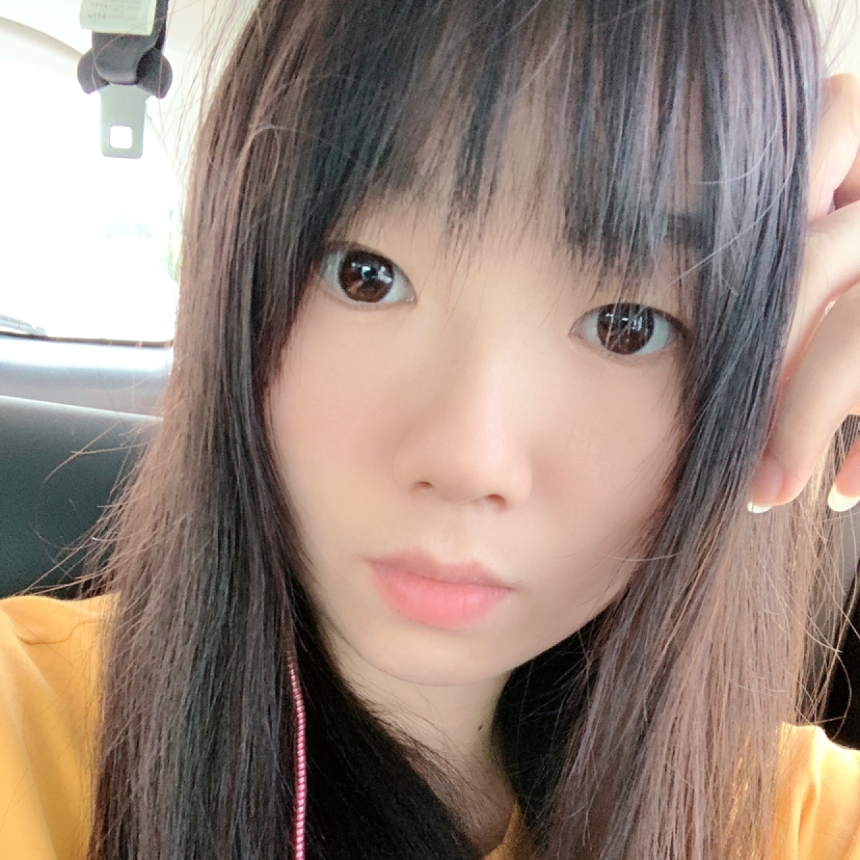 猫咪拿翩飞的照片