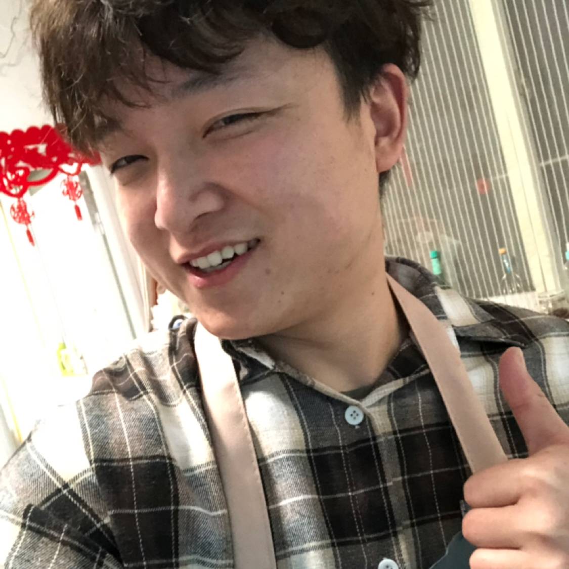 仙人掌和优美的照片