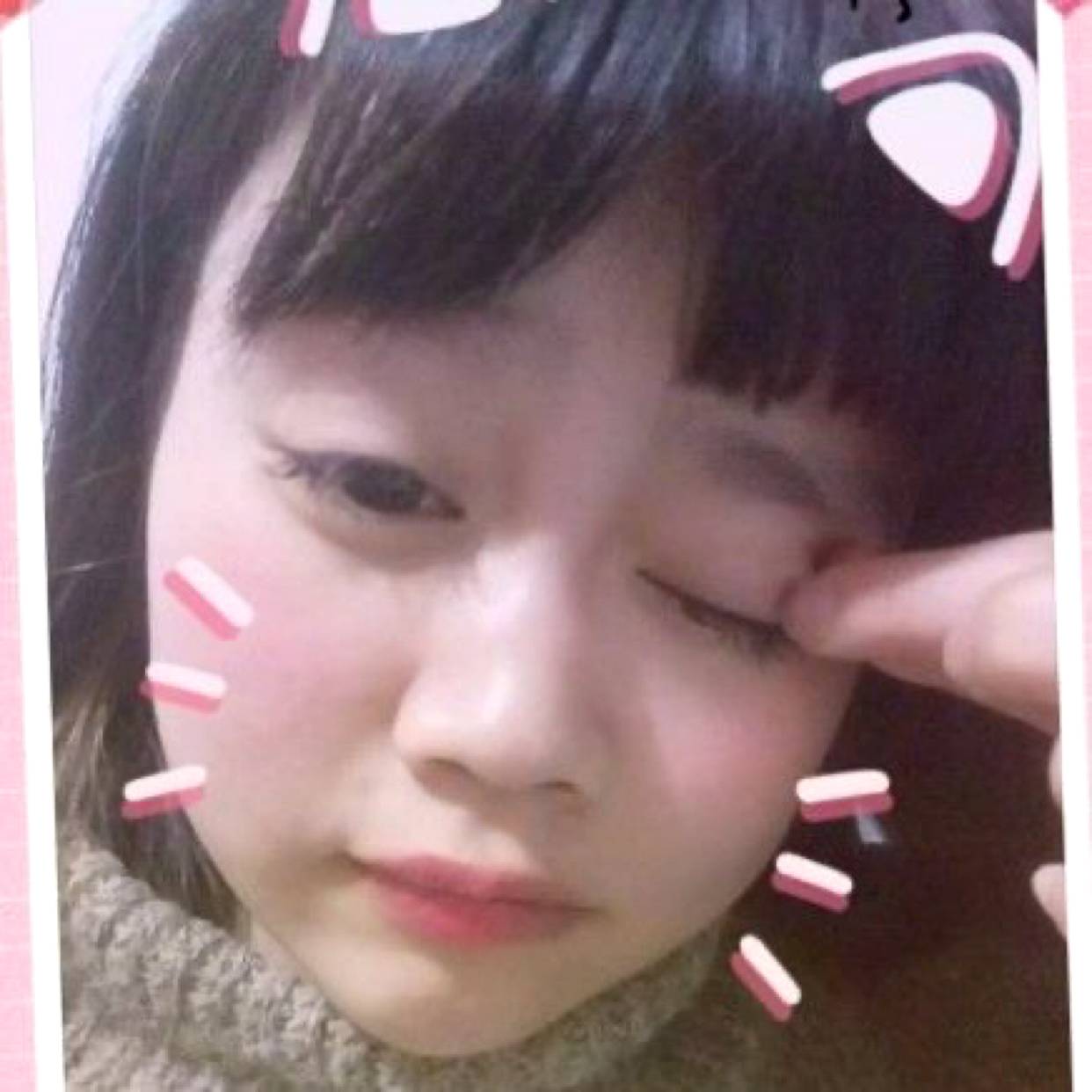 飞机浅吻高贵的照片