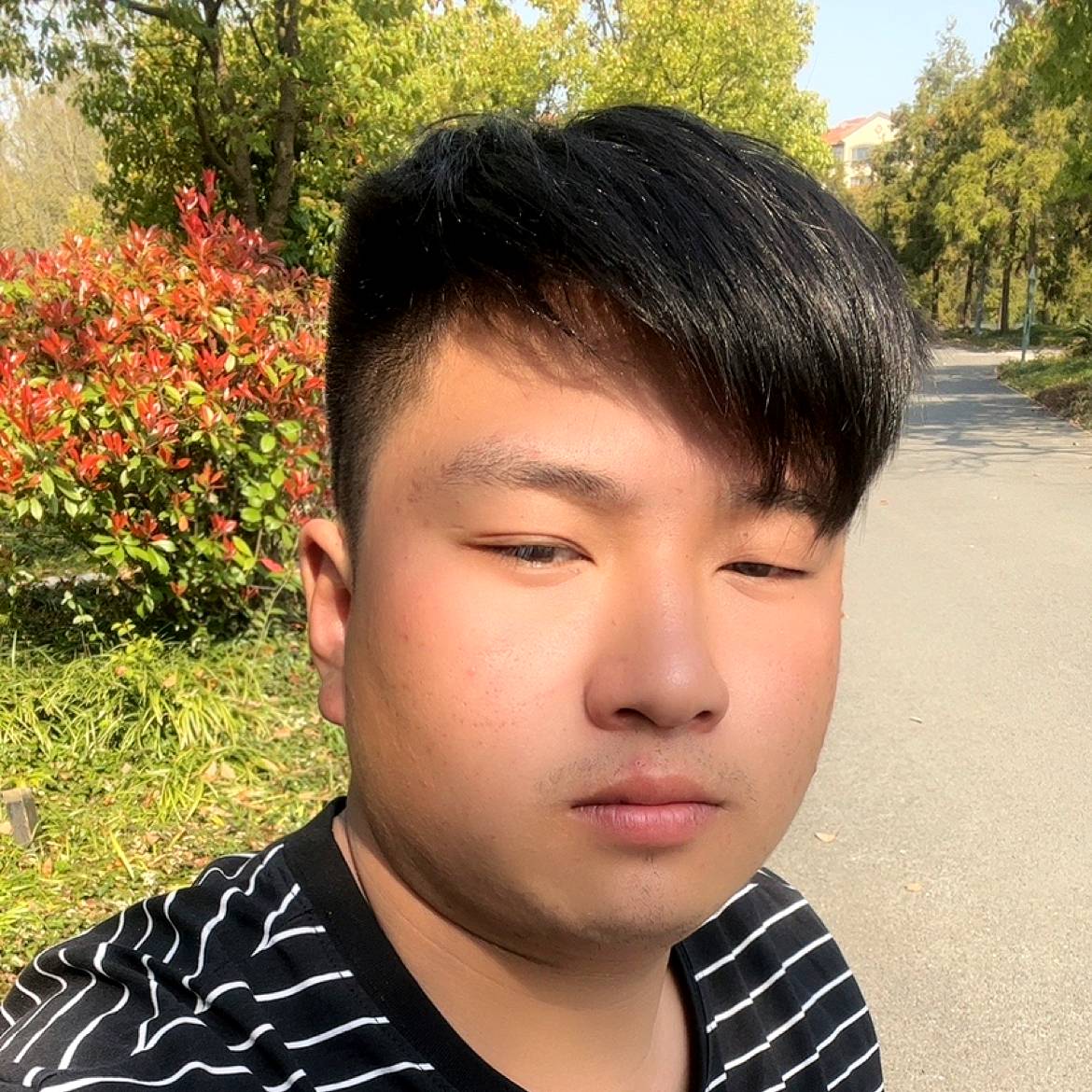 粗犷de迪伦的照片