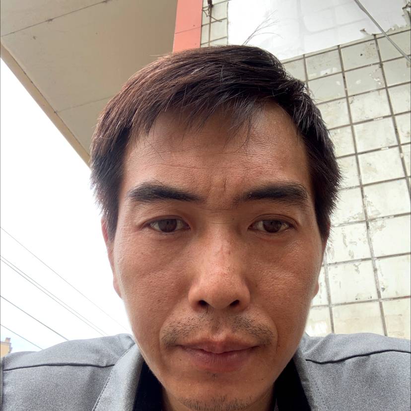 生动吃醋白猫的照片
