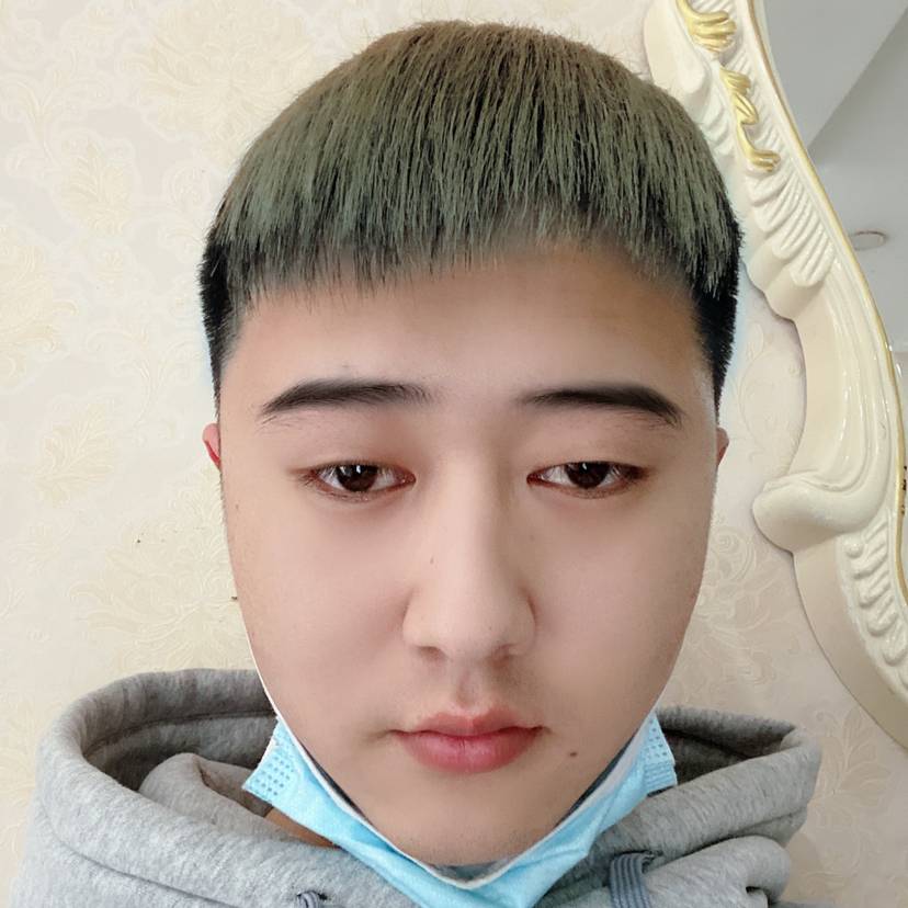 红牛机智的照片