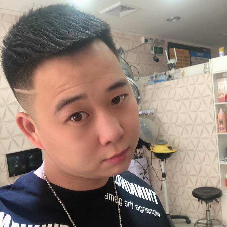 西伯利亚大野猪的照片