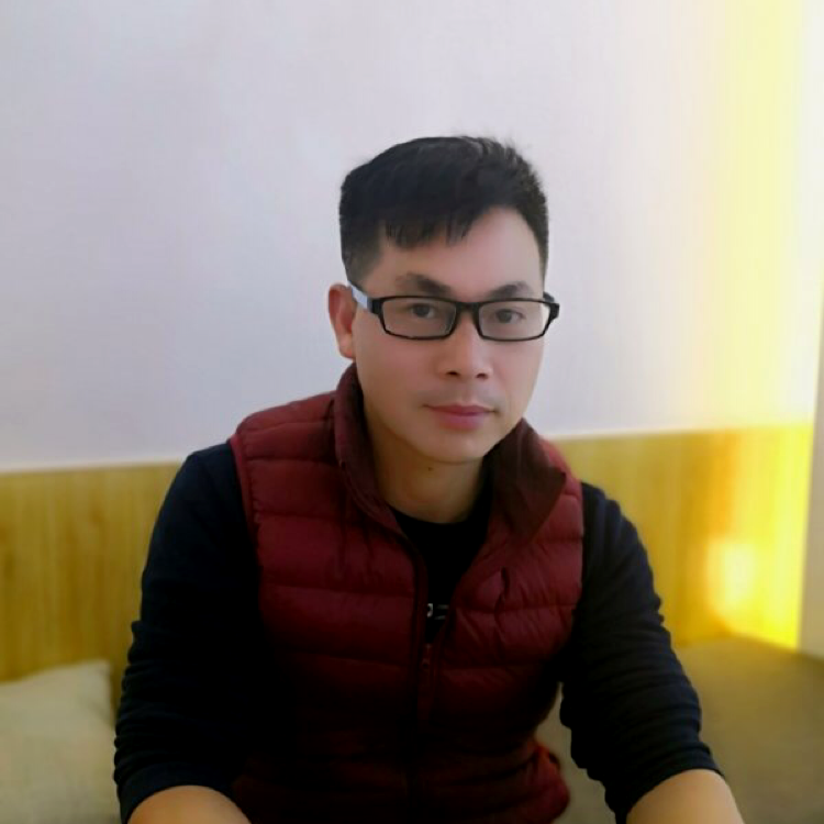向日葵深拥长情的照片