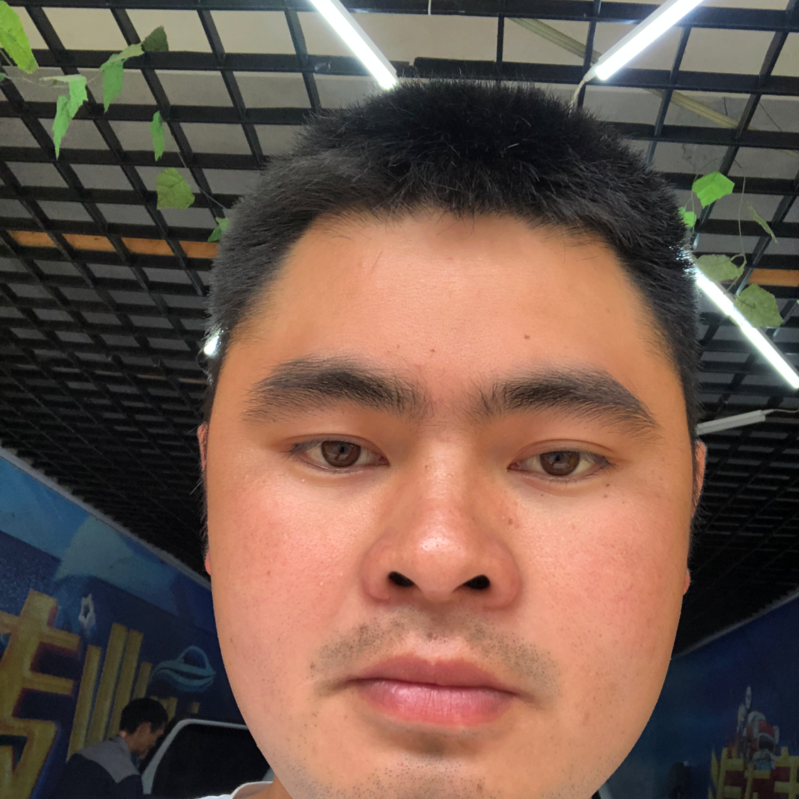 铃铛改变乐观的照片
