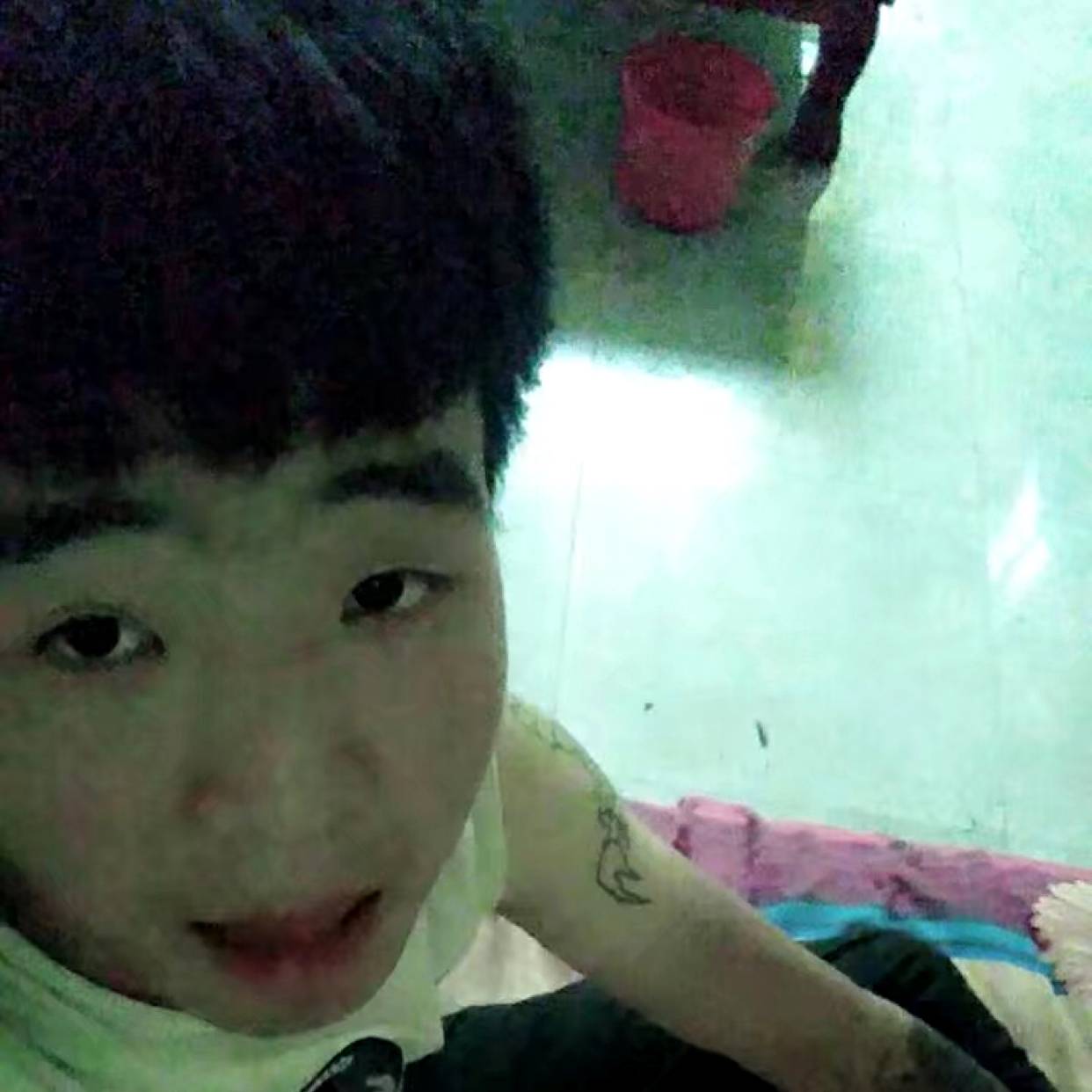 伶俐回眸离歌的照片