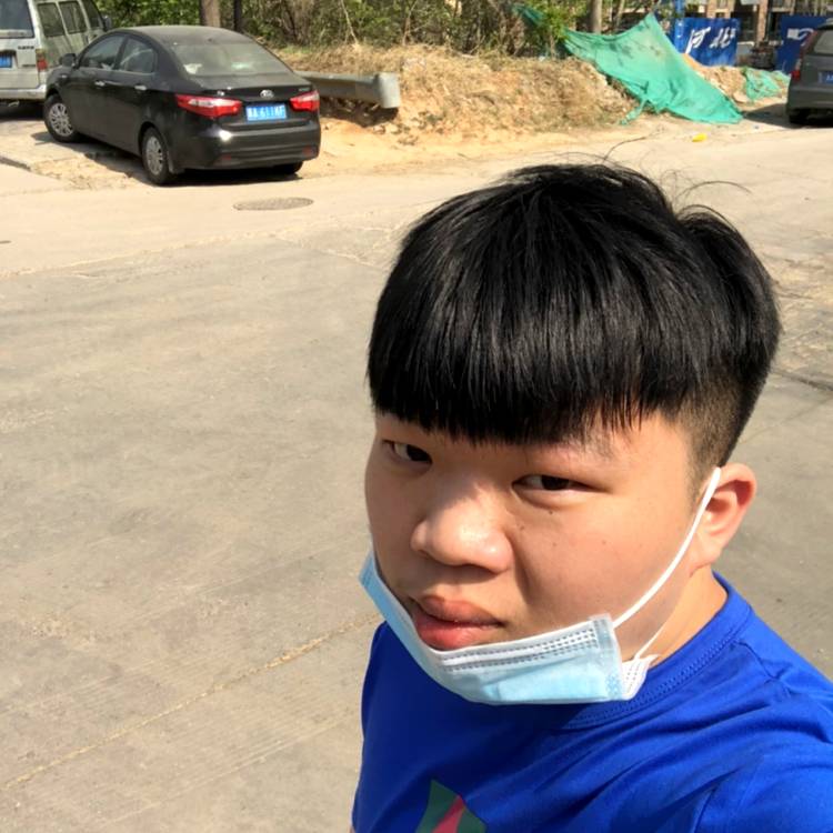 小蘑菇挽手追寻的照片