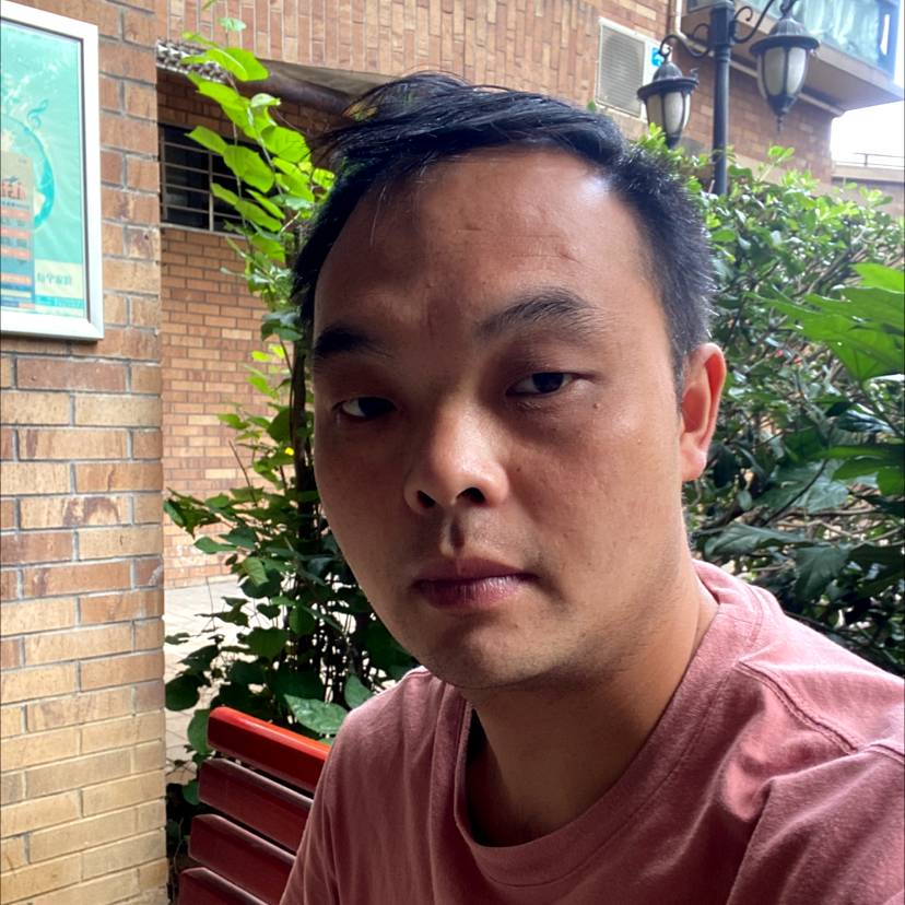 健壮爱恋羽毛的照片