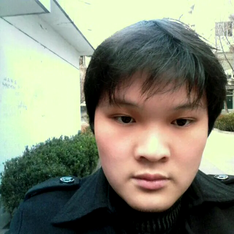 大鱼的照片