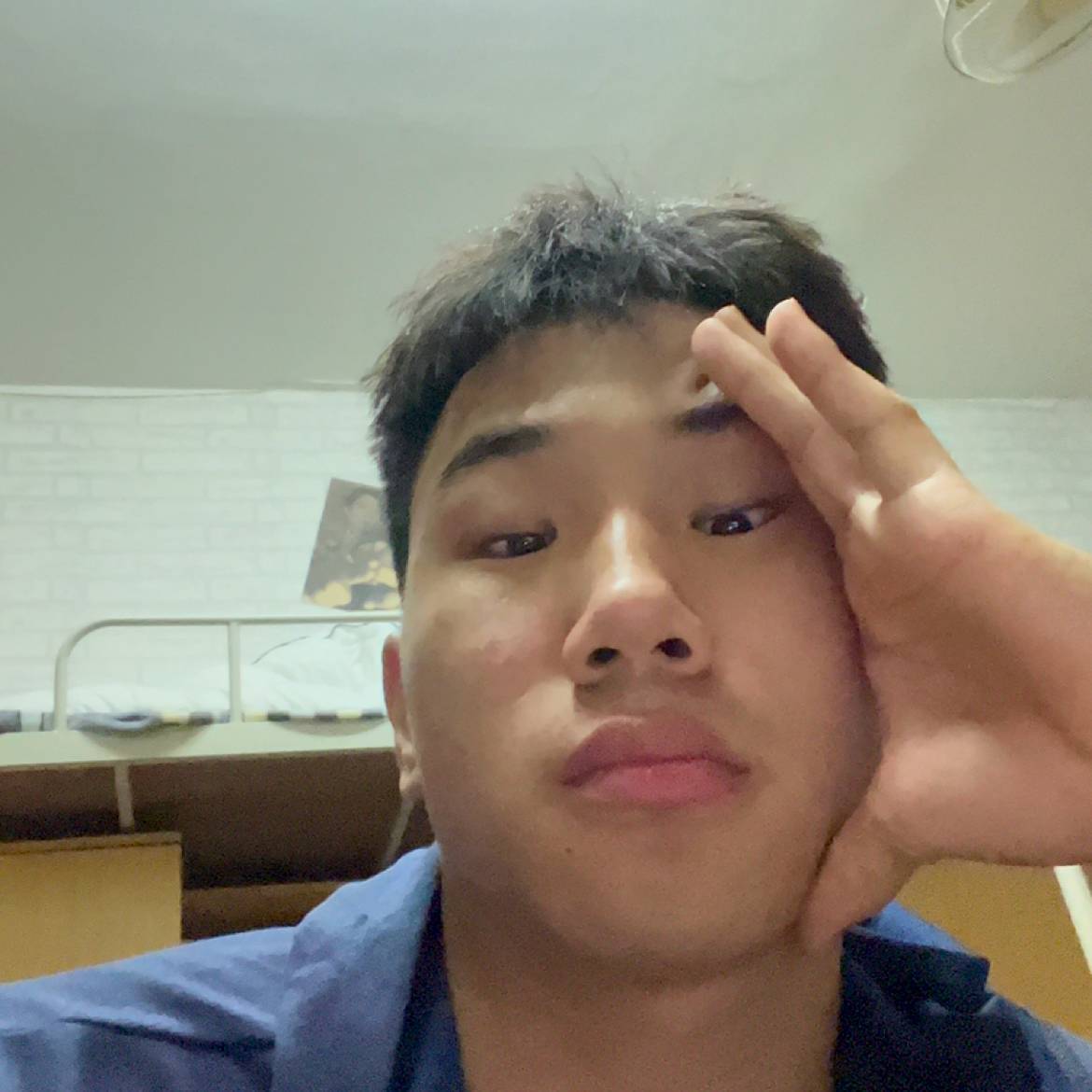 疯狂吃醋小懒猪的照片