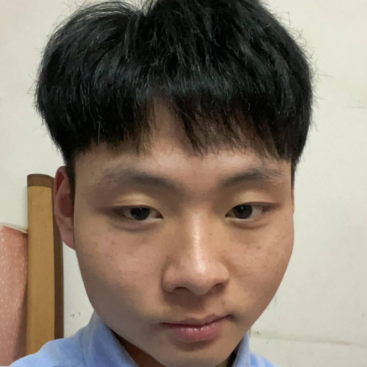 小刺猬回眸忐忑的照片