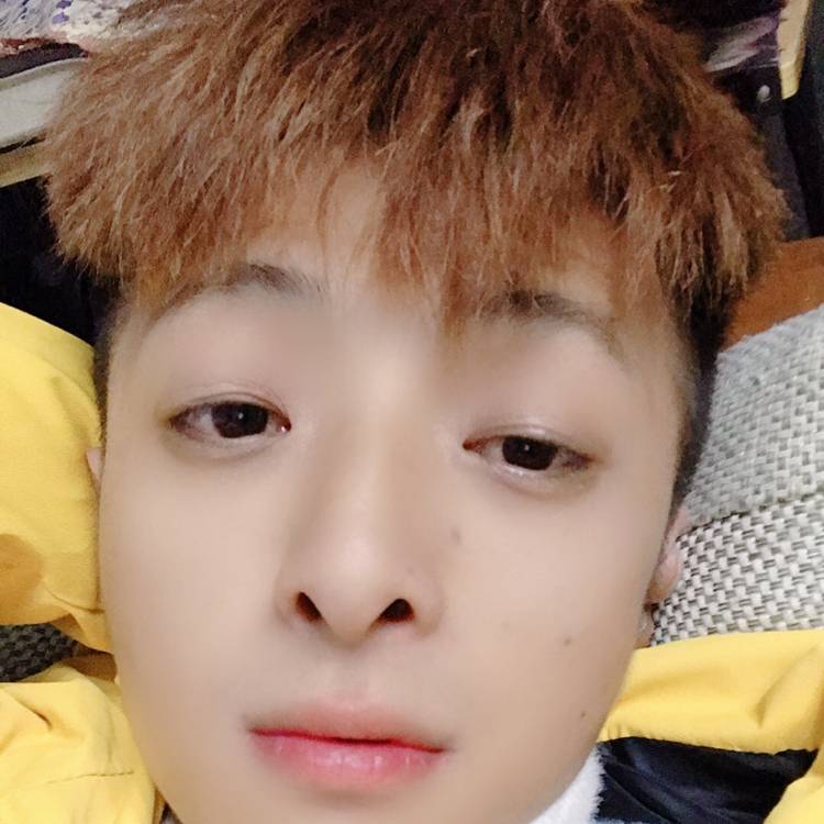 苹果笑醉月的照片