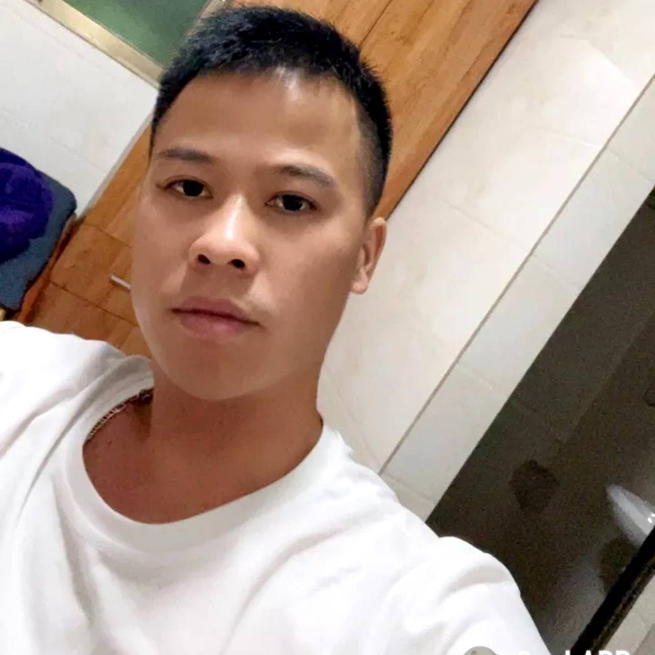 阳光深拥夏露的照片
