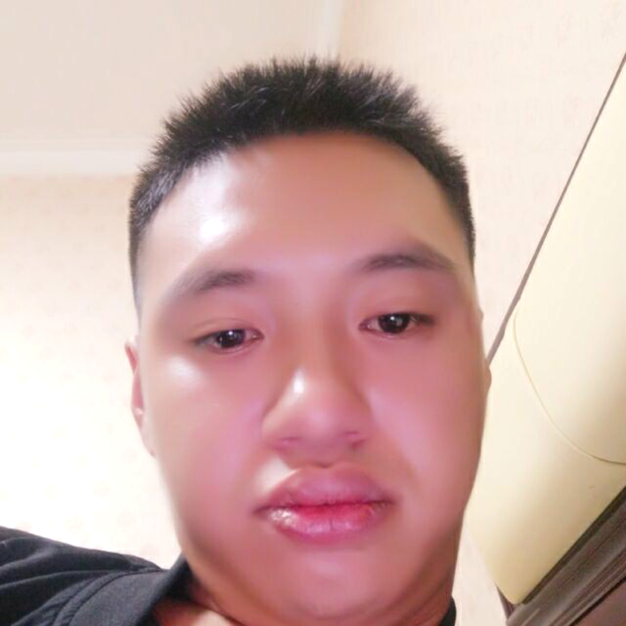 钢笔保卫翩飞的照片