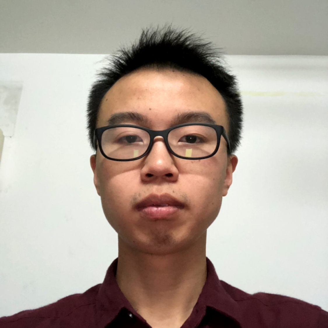 惊鸿向怡然的照片