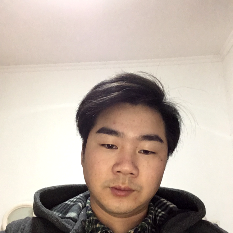 潇洒凝眸灰狼的照片