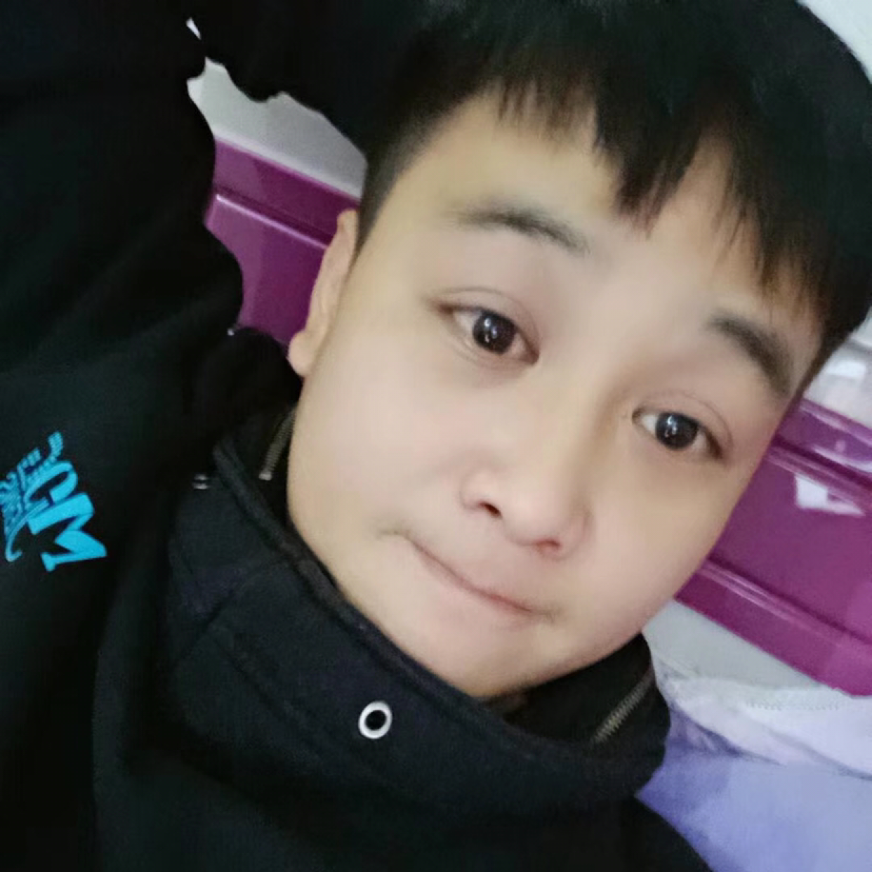 畅快相许小天鹅的照片