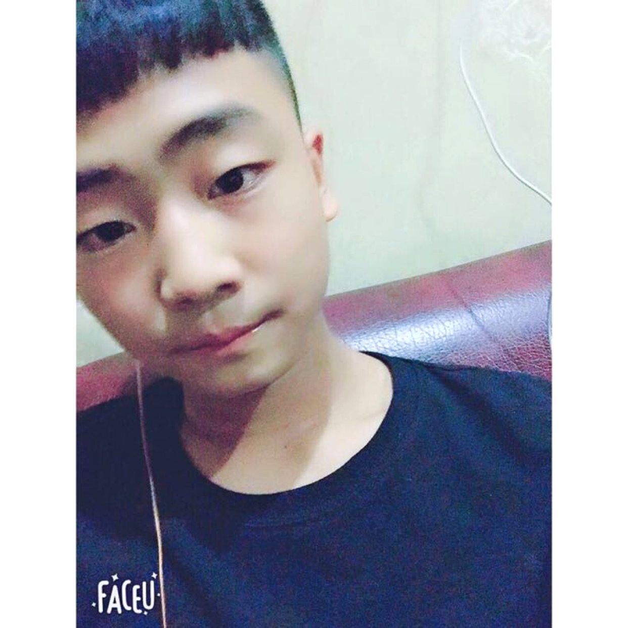 蚂蚁冷酷的照片