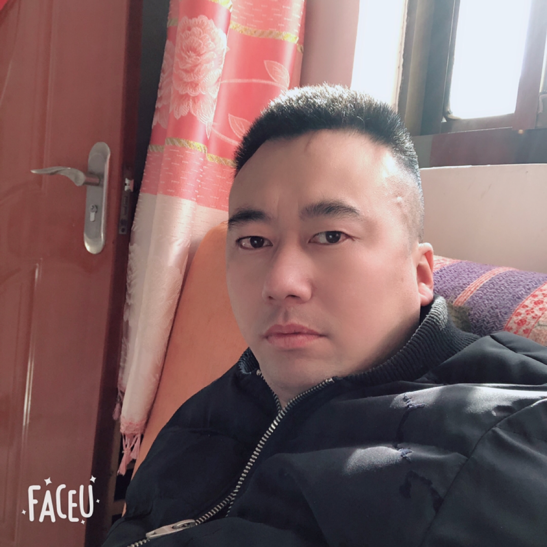 乌龟刻苦的照片