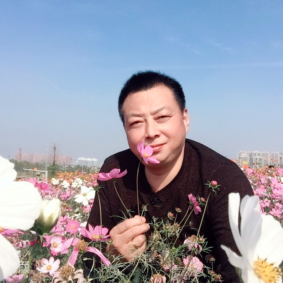 zelu的照片