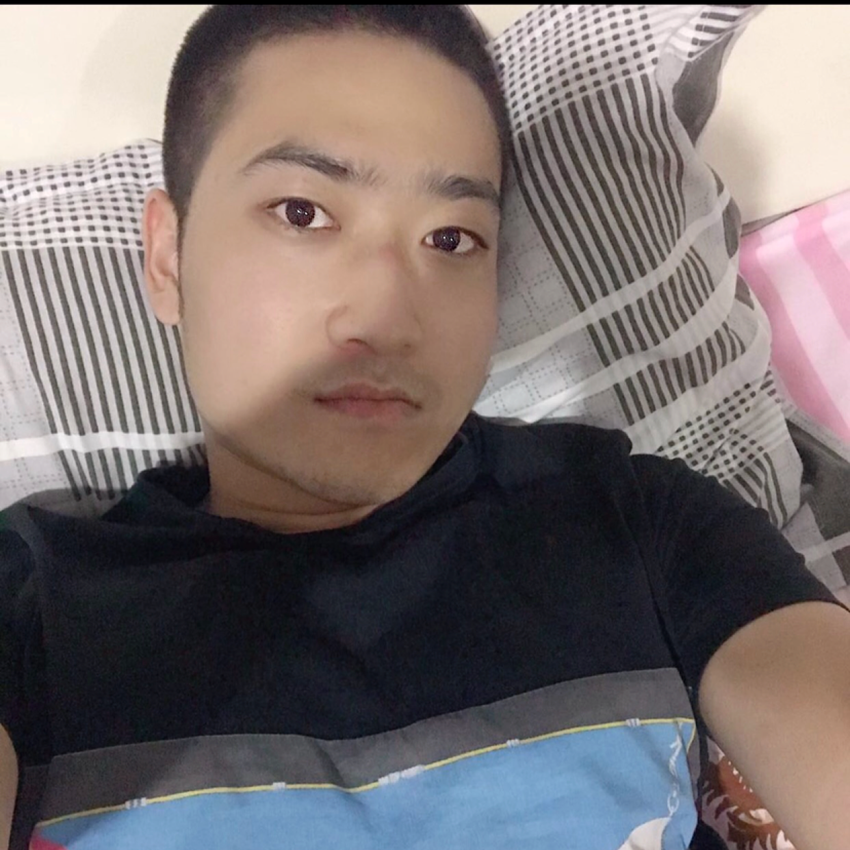 zc别来无恙的照片